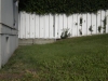sloping