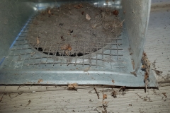 Fresh-air-intake-blocked-off