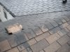 shingles_painted