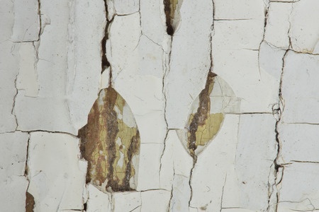 Lead Paint