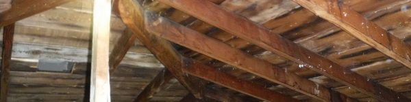 Wooden rafters and beams in an attic space with insulation material covering the floor.