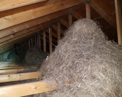 Straw piles in the attic