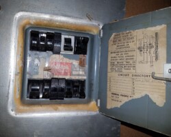 Old-panel-past-life-expectancy