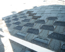 shingles