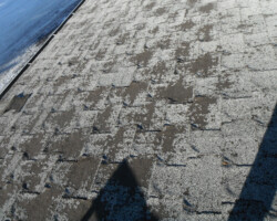shingles_2