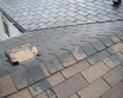 shingles_painted